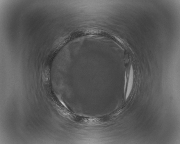 X0000078840517200612111559