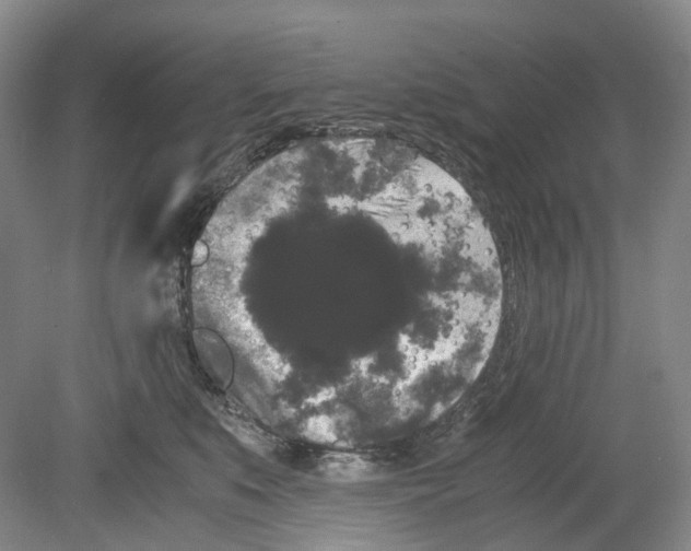 X0000078840519200612111559