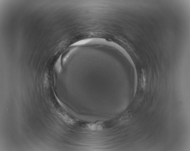 X0000078840520200612111559