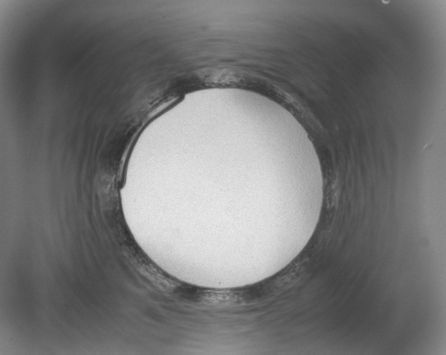 X0000078840521200612111559