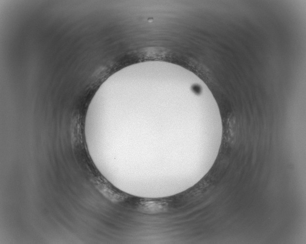 X0000078840522200612111559