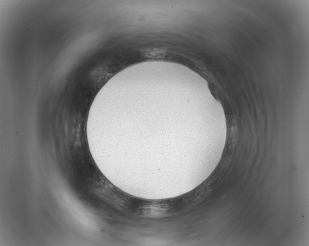 X0000078840525200612111559