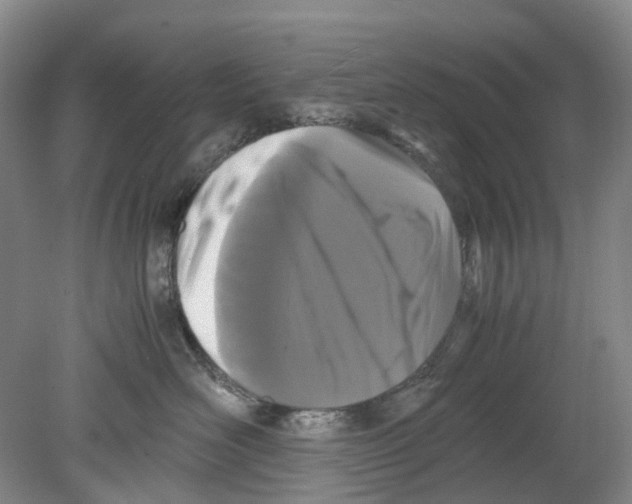 X0000078840526200612111558