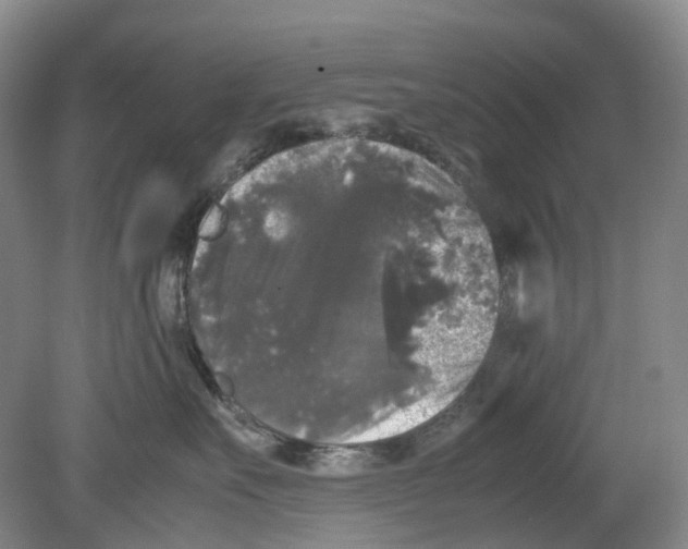 X0000078840527200612111558