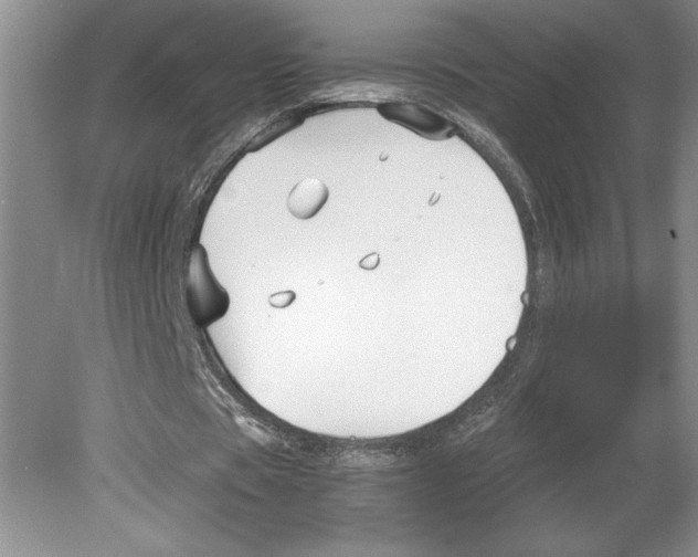 X0000078840529200612111558