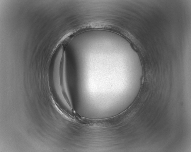 X0000078840530200612111558