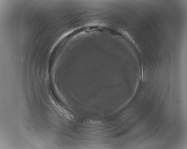 X0000078840531200612111558