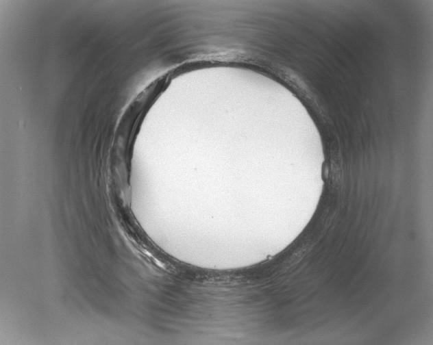 X0000078840532200612111558