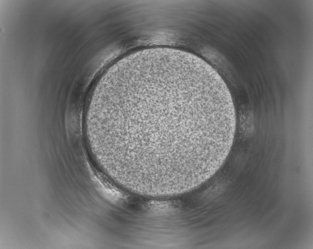 X0000078840534200612111558