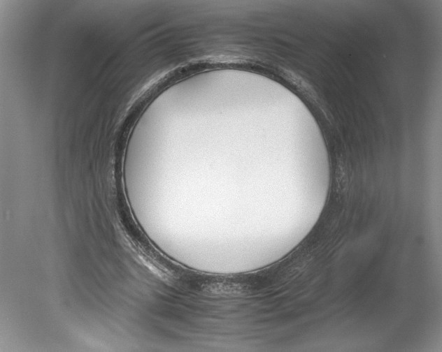 X0000078840535200612111558