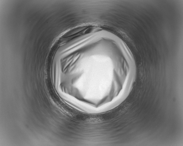 X0000078840536200612111558