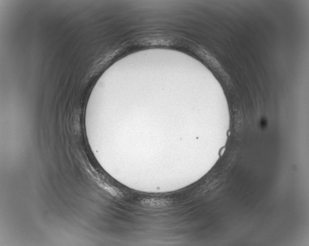 X0000078840537200612111558