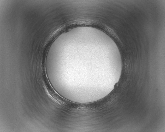 X0000078840538200612111558