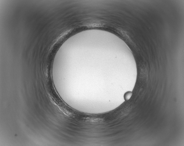 X0000078840539200612111558