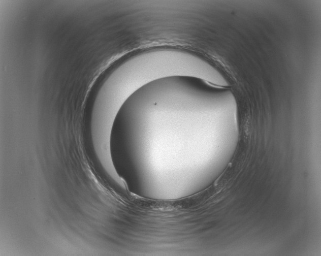 X0000078840540200612111558