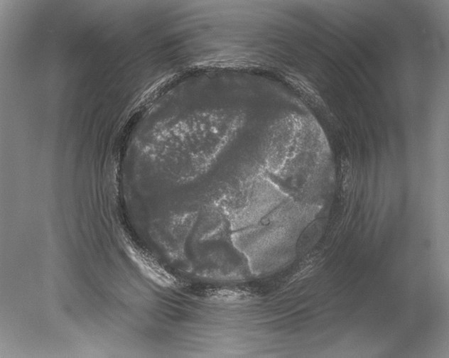 X0000078840542200612111558