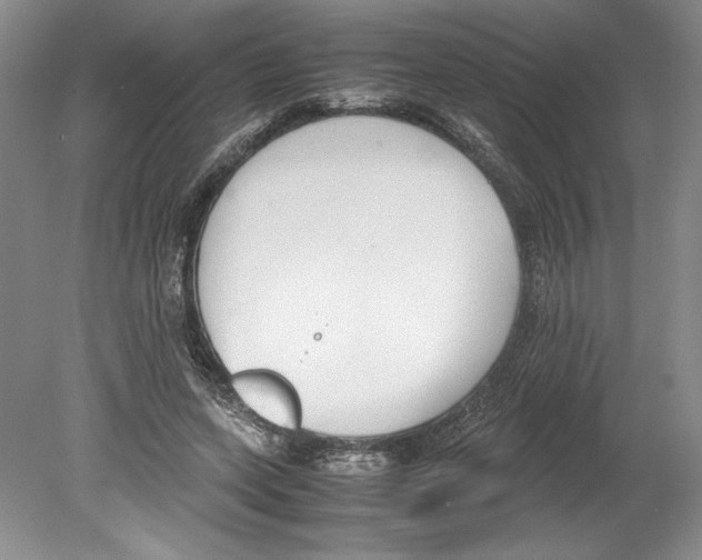 X0000078840543200612111558