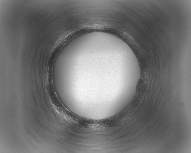 X0000078840544200612111558