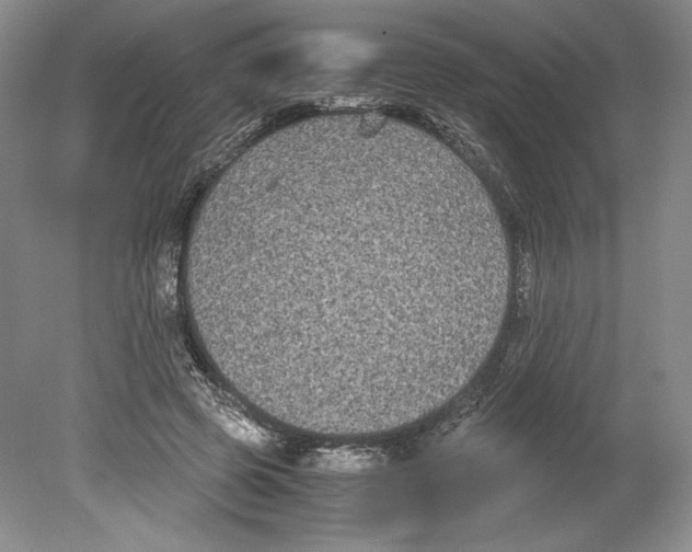 X0000078840545200612111558