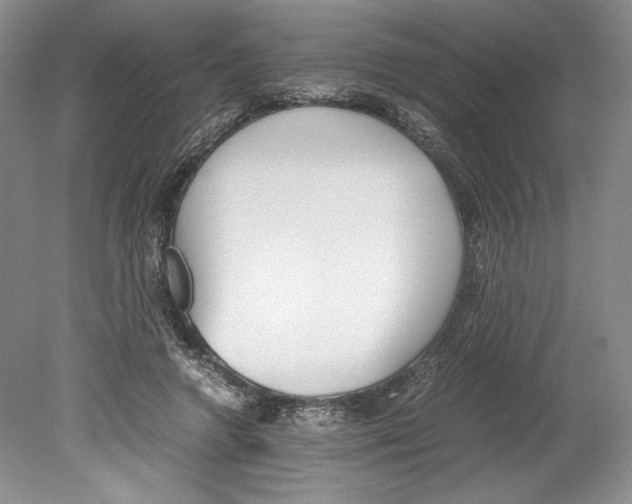 X0000078840546200612111558