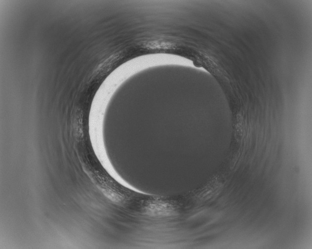 X0000078840547200612111558