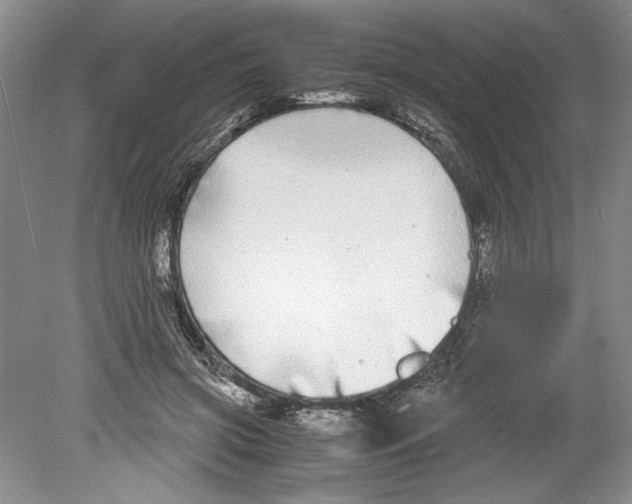 X0000078840549200612111558