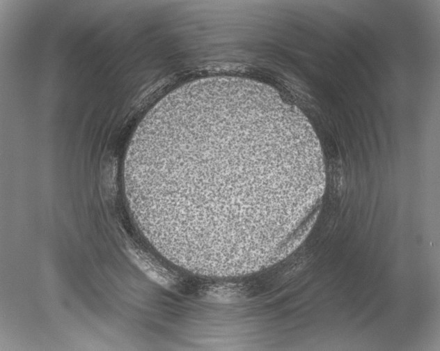 X0000078840550200612111558