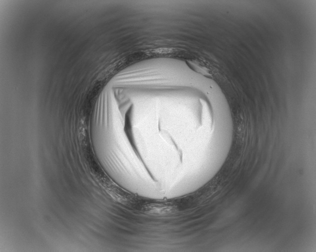 X0000078840555200612111558