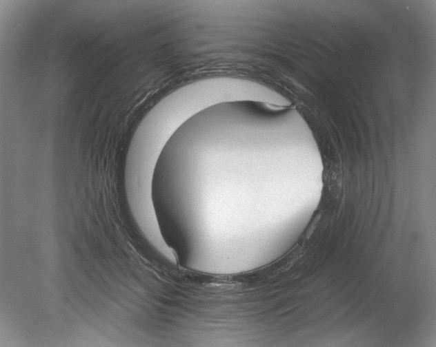 X0000078840556200612111558