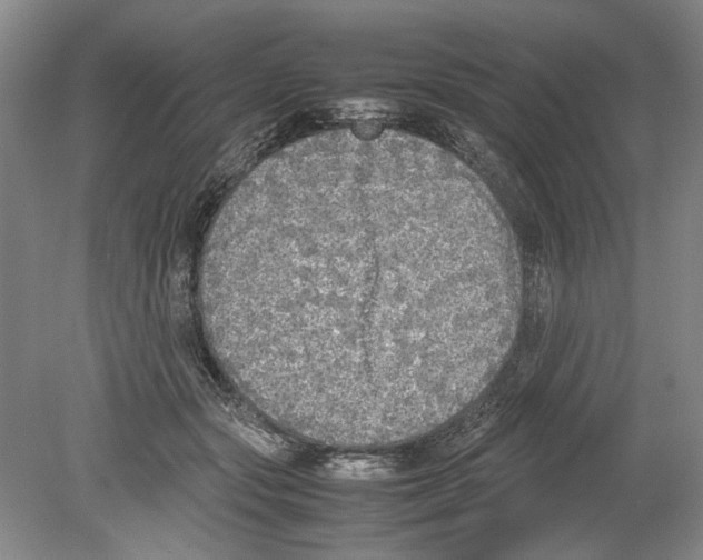 X0000078840557200612111558