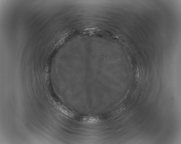 X0000078840559200612111558