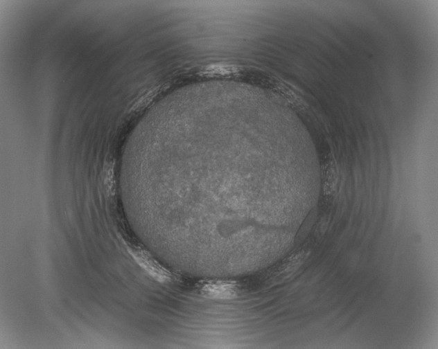 X0000078840560200612111558