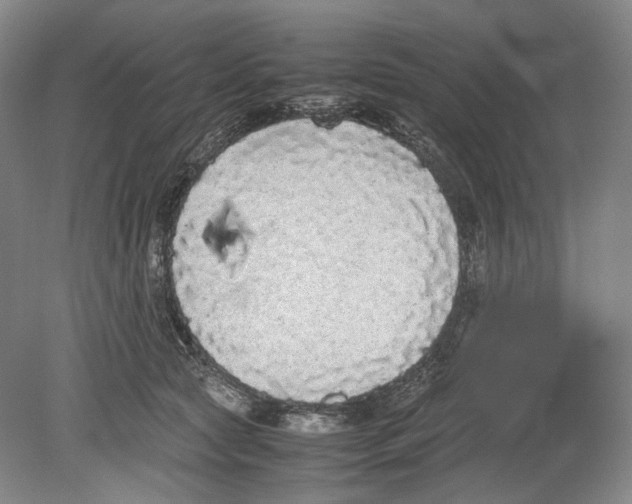 X0000078840561200612111558