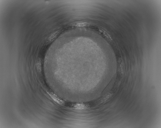 X0000078840562200612111558