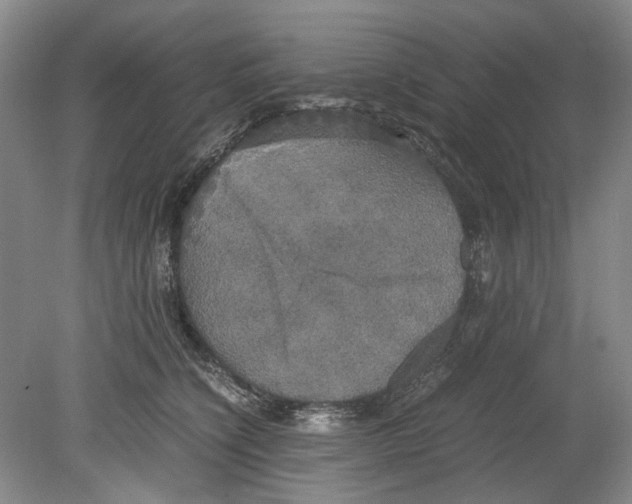 X0000078840564200612111558