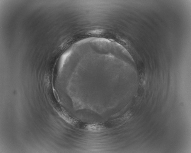 X0000078840568200612111558