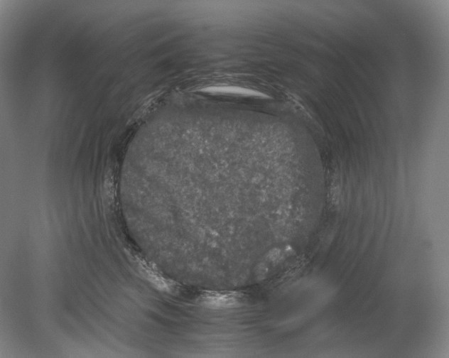 X0000078840569200612111558