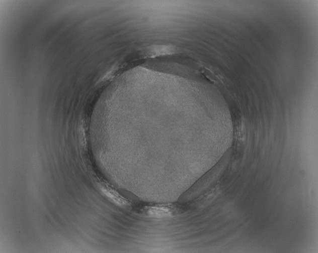 X0000078840572200612111558