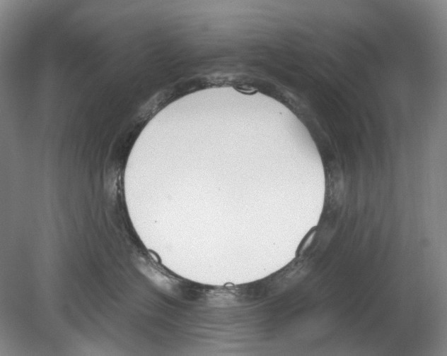 X0000078840574200612111558