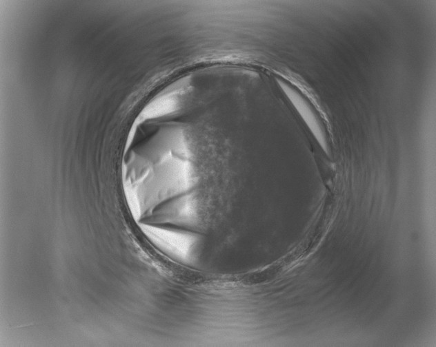 X0000078840577200612111558