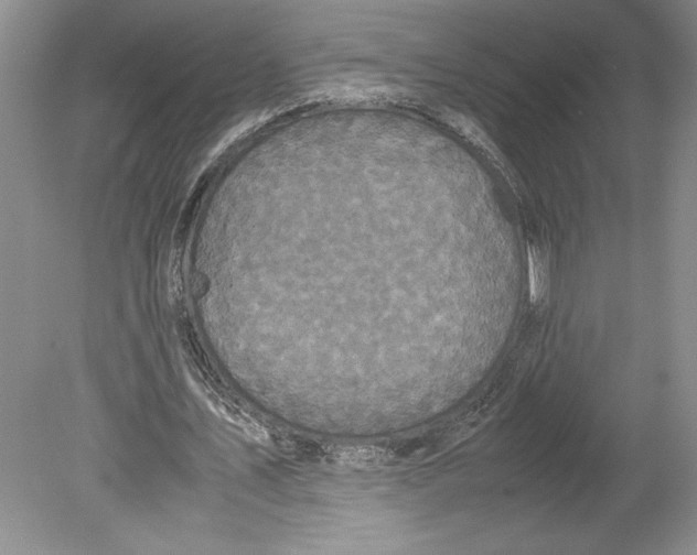 X0000078840579200612111558