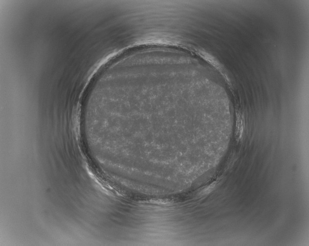 X0000078840580200612111558