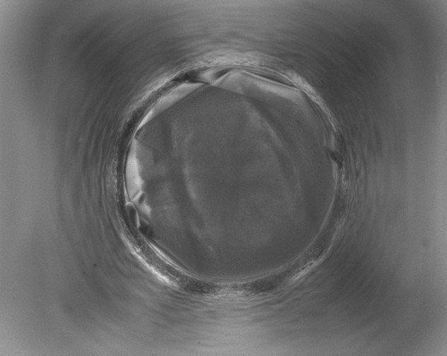 X0000078840581200612111558