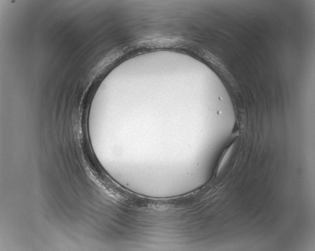 X0000078840582200612111558