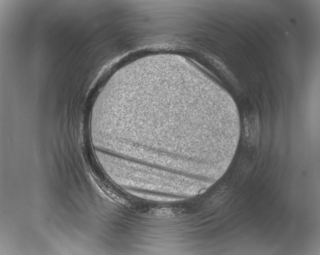 X0000078840588200612111557