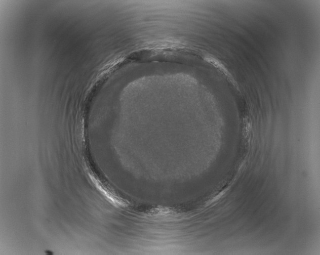 X0000078840589200612111557