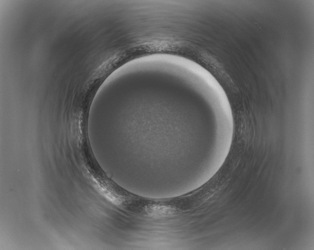 X0000078840590200612111557