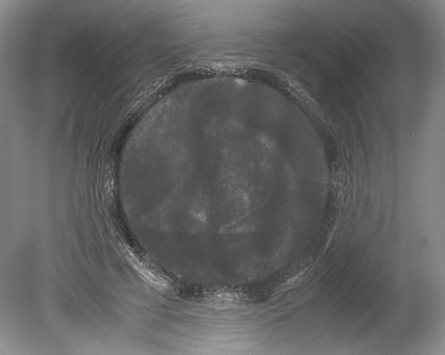 X0000078840593200612111557