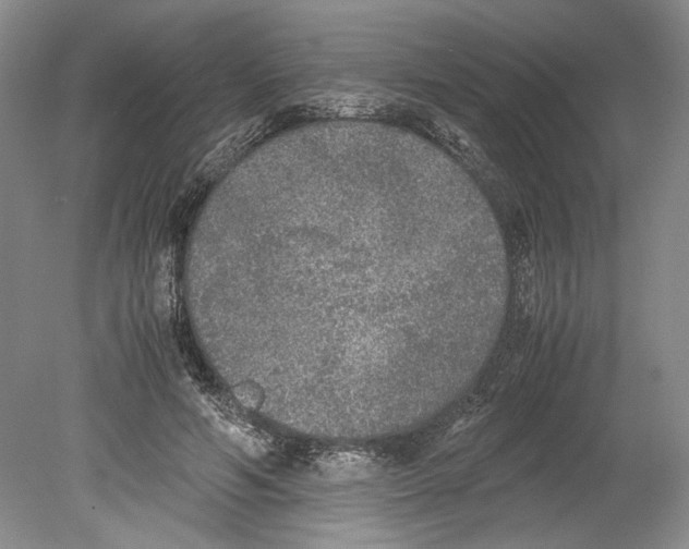 X0000078840594200612111557