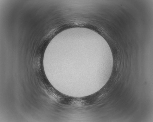 X0000078840595200612111557